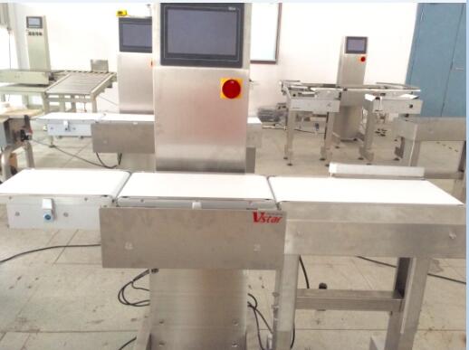 V6-1KH Checkweigher